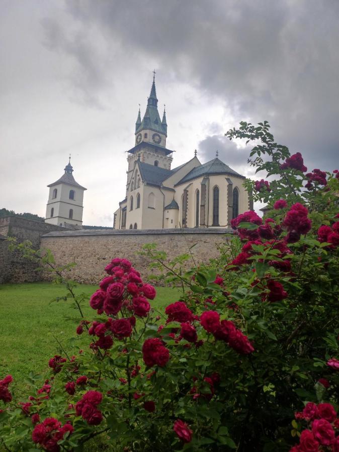 Krizkov Dom Leilighet Kremnica Eksteriør bilde
