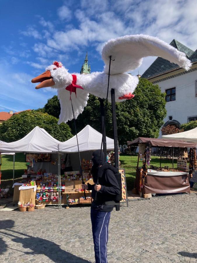 Krizkov Dom Leilighet Kremnica Eksteriør bilde